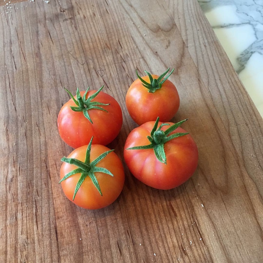 Fresh Tomato Bruschetta